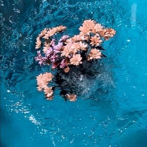 Meet your Posher, Regina